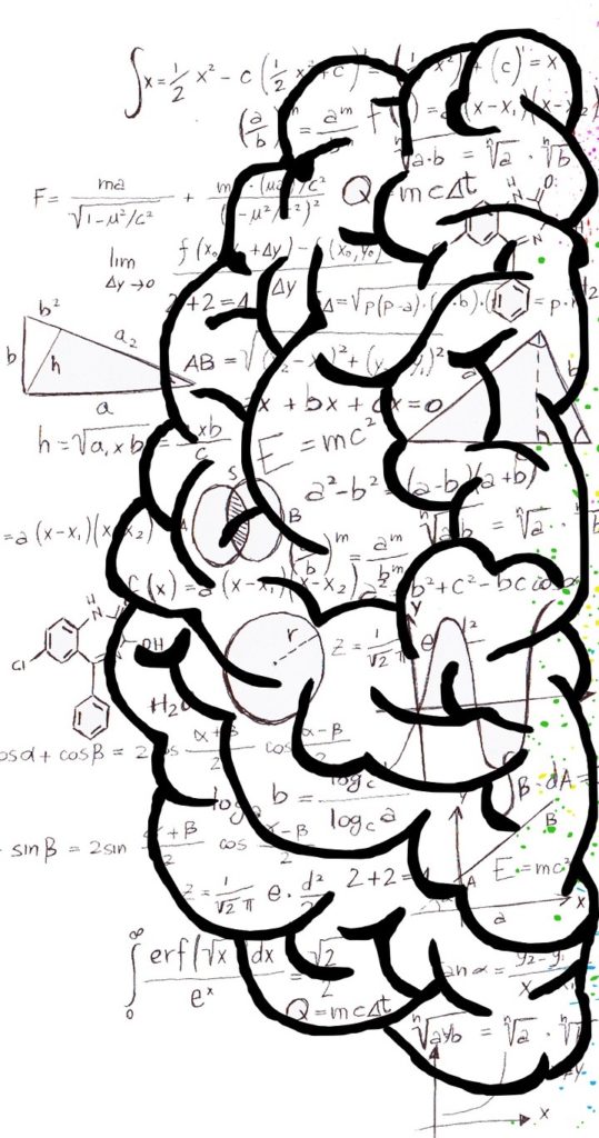 cerebro região matemática