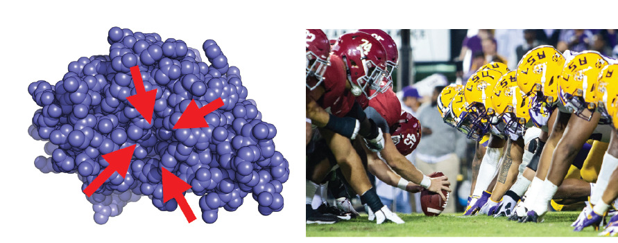 proteínas vs jogo futebol