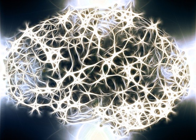 Neurônios do cérebro