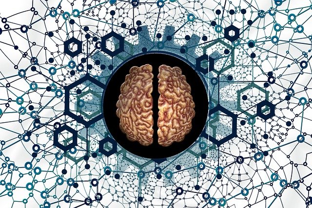 Cérebro e rede conectados